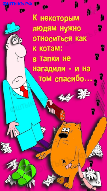 Смешные поговорки в картинках: Люди — коты